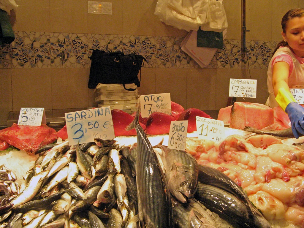 Sardines, Bonito and Tuna