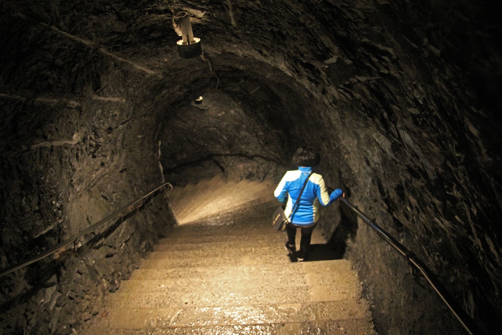 Nella Descending a Staircase