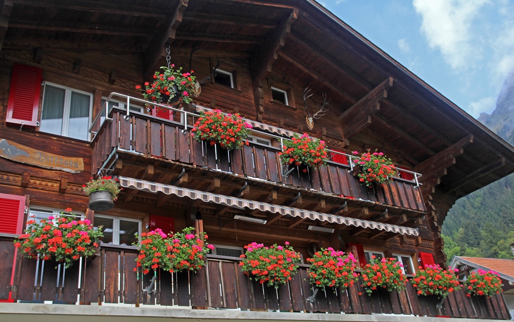 House and Flowers