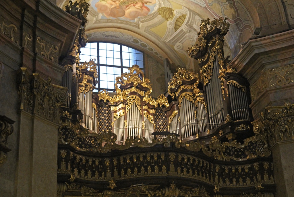 Organ