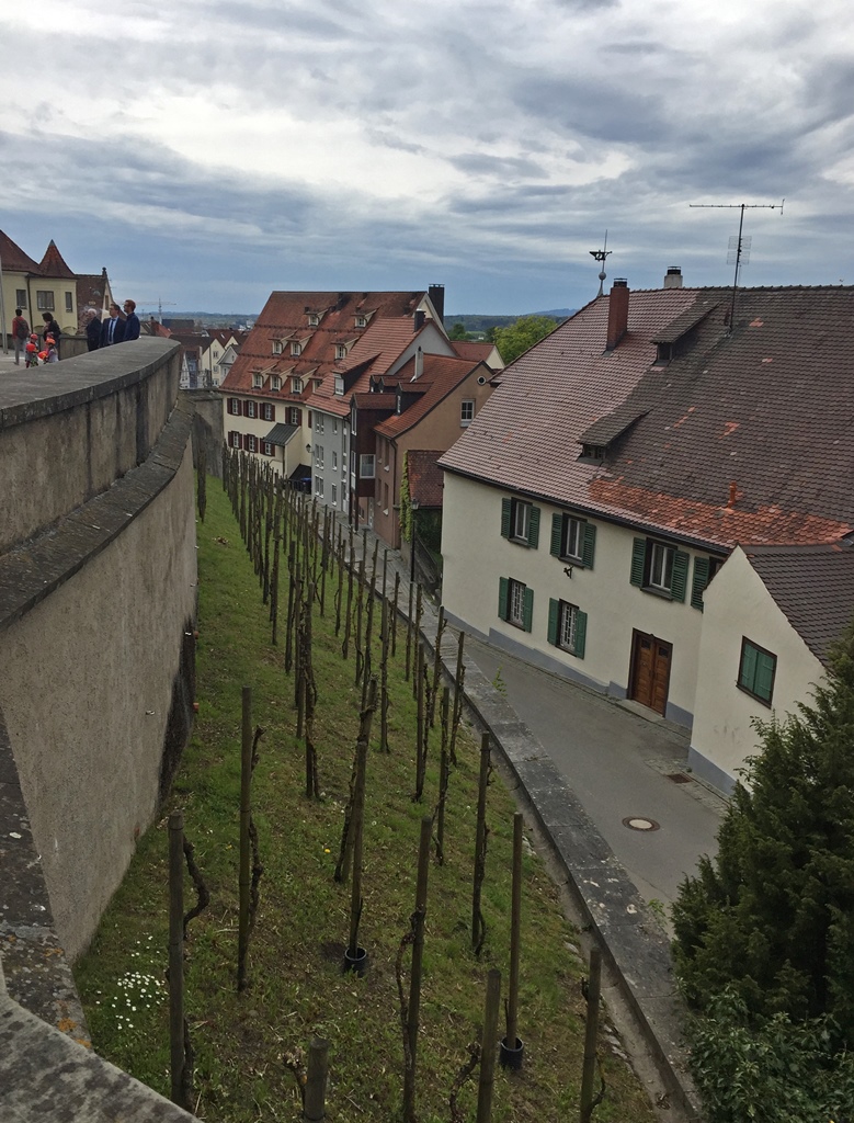 Weingarten from Basilica