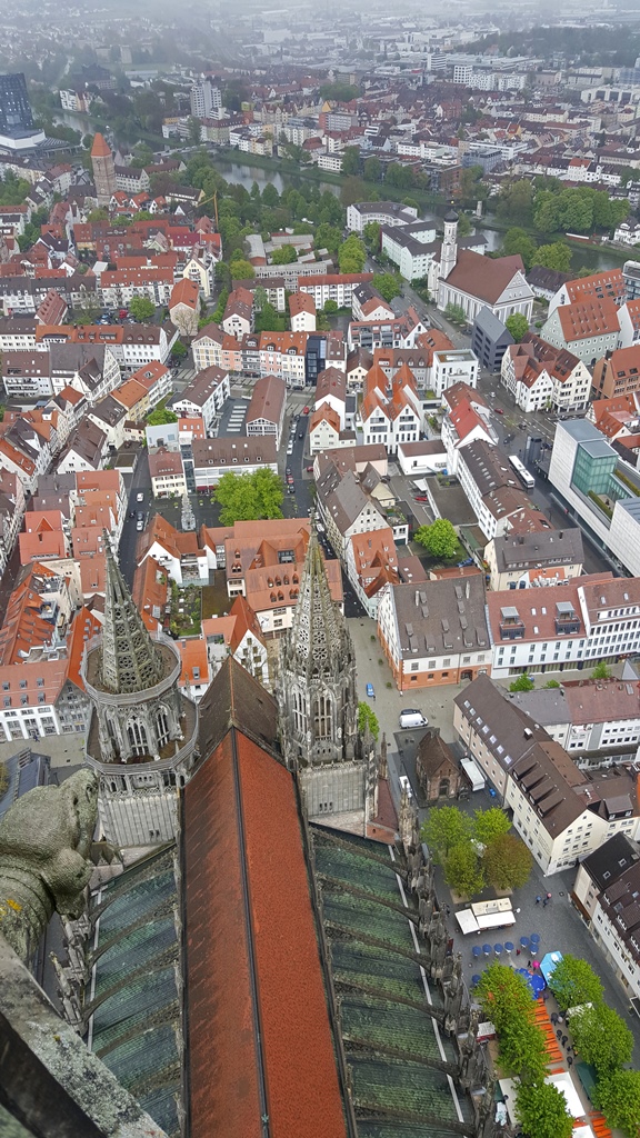 Roof and Eastern Towers