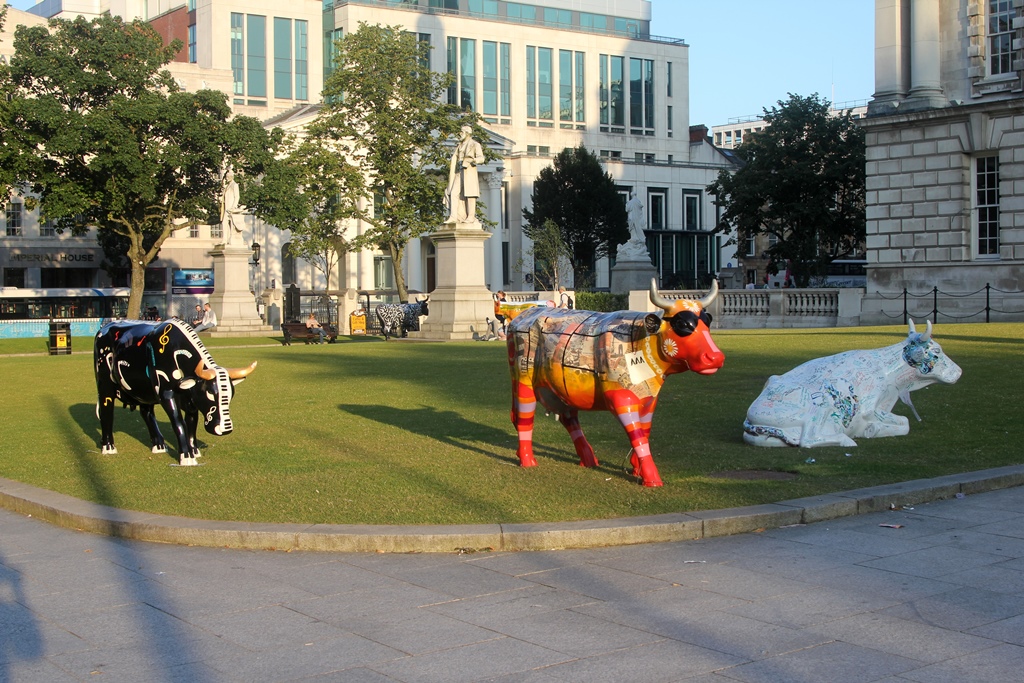 Fiberglass Cows