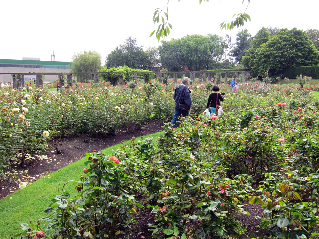 Bob and Nella in Rose Garden