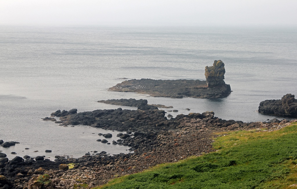 Seashore, Eastern Causeway Area