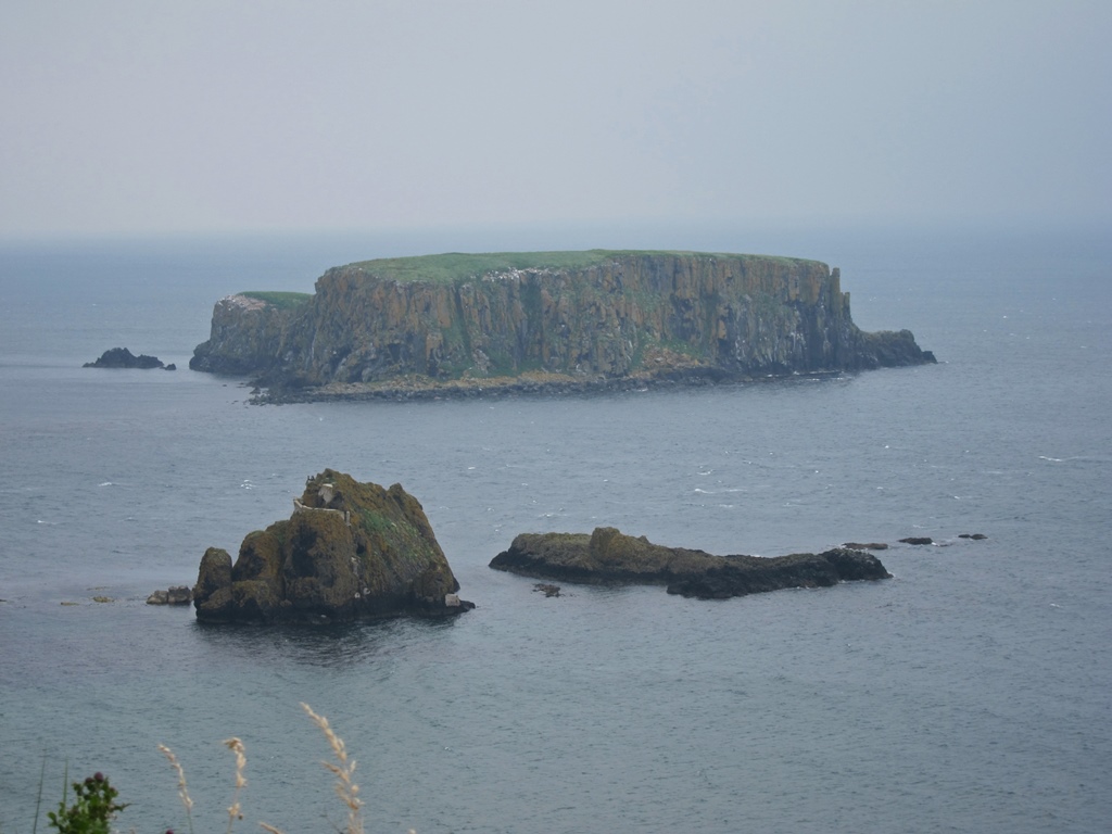 Sheep Island