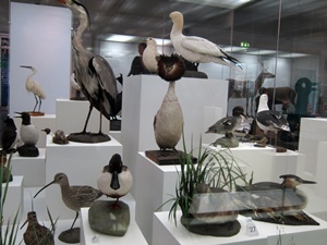 Stuffed Birds