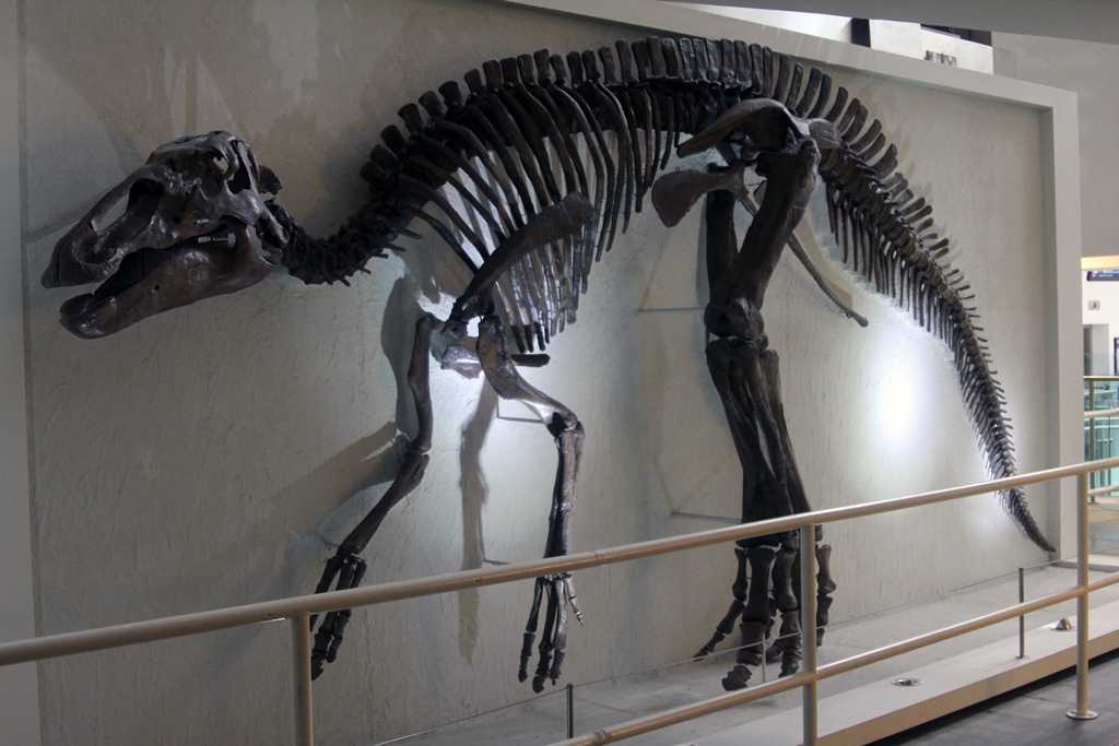 Edmontosaurus