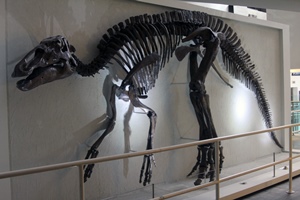 Edmontosaurus