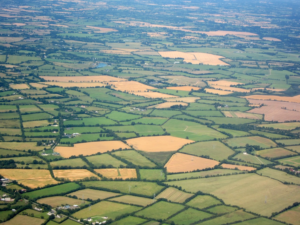 Irish Countryside