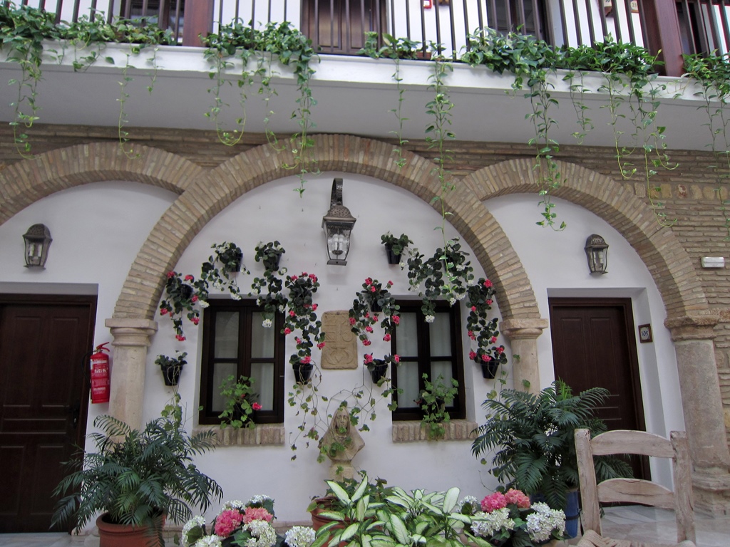 Flowers Outside Room