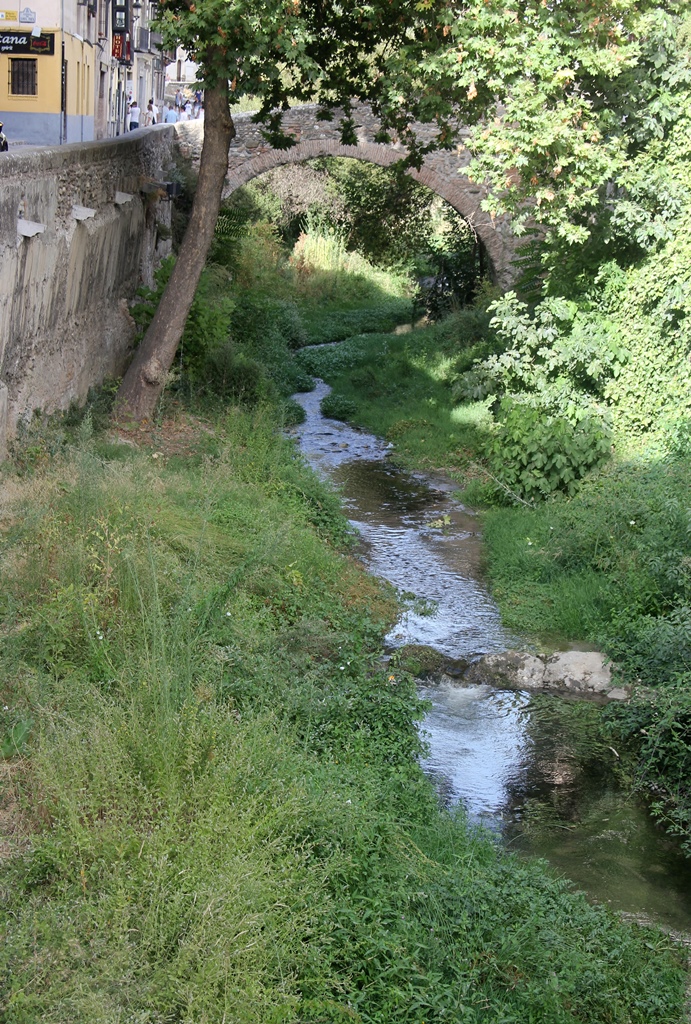 Darro River and Bridge