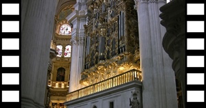 Organ