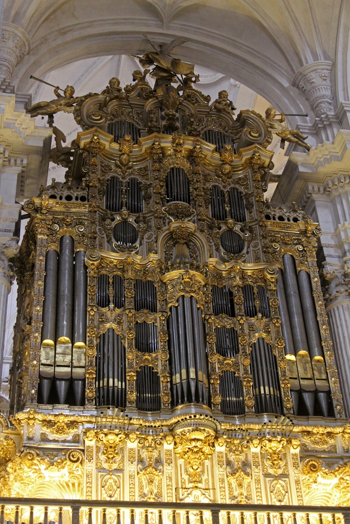 Organ