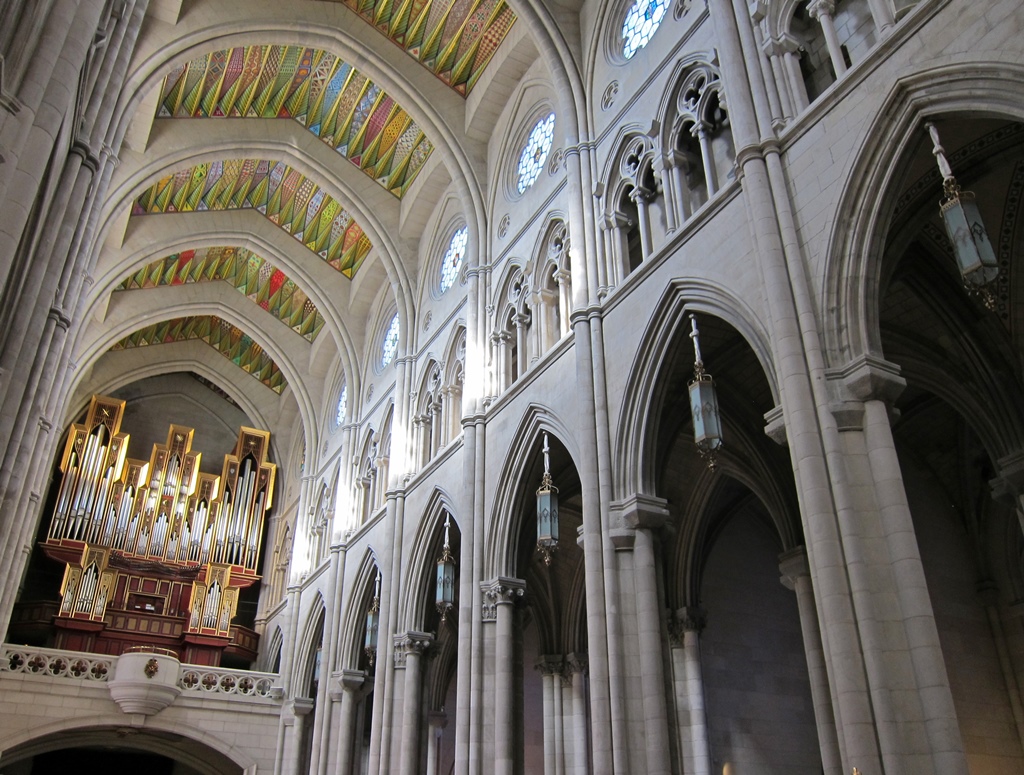 Nave and Organ