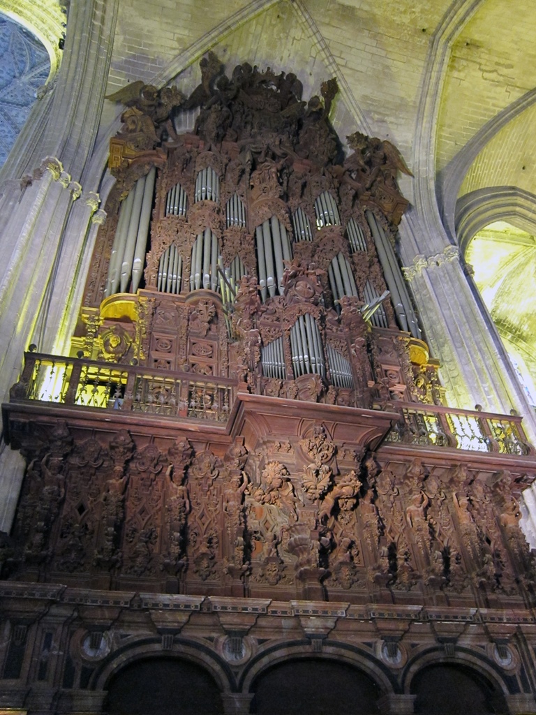 Organ