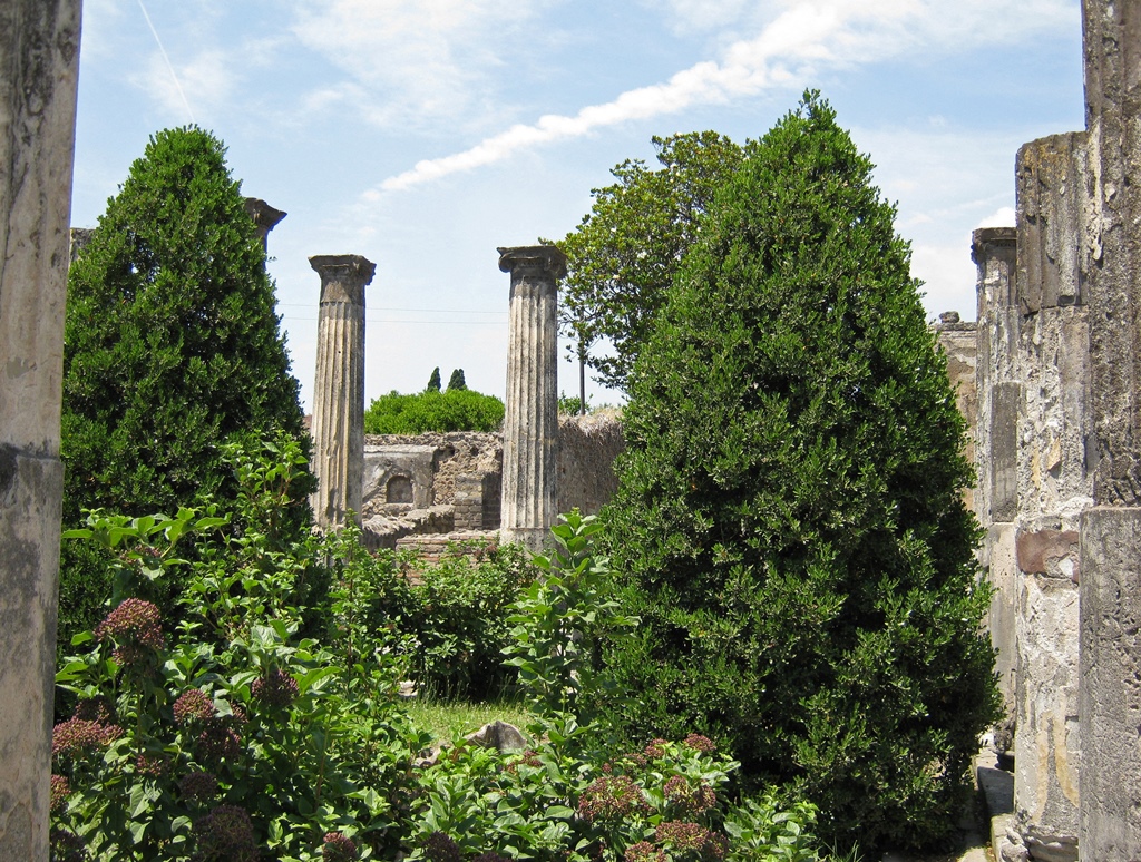 Columns, Casa di Pansa