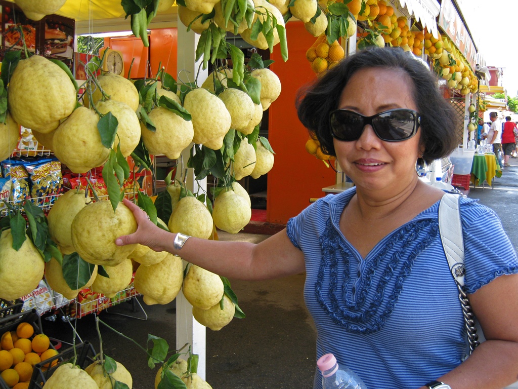 Nella and Giant Lemons