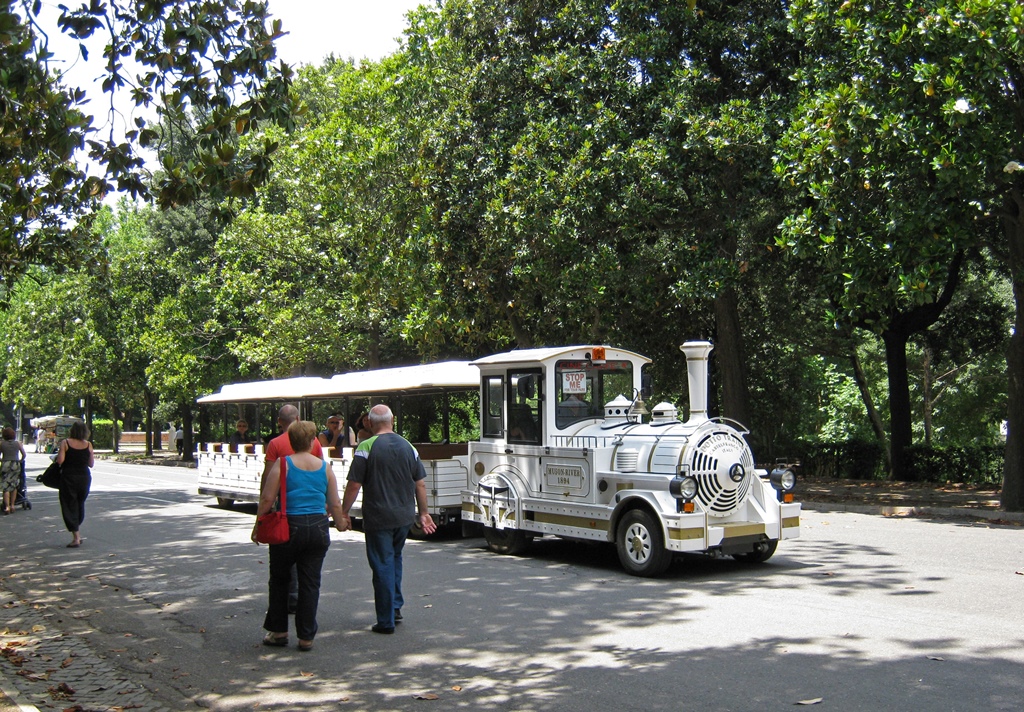 Tourist Train