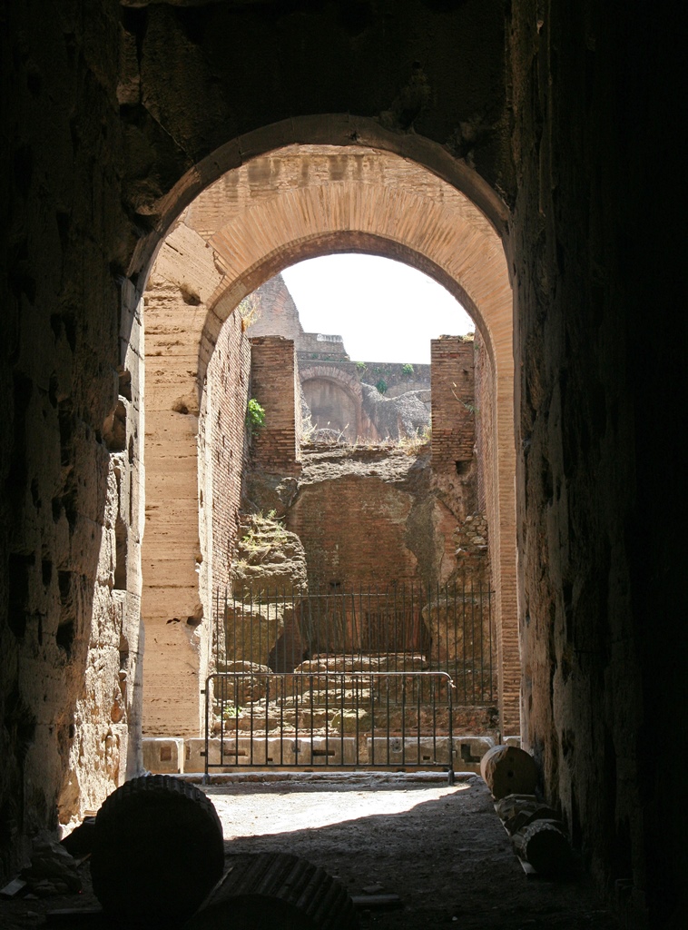 View Into Arena