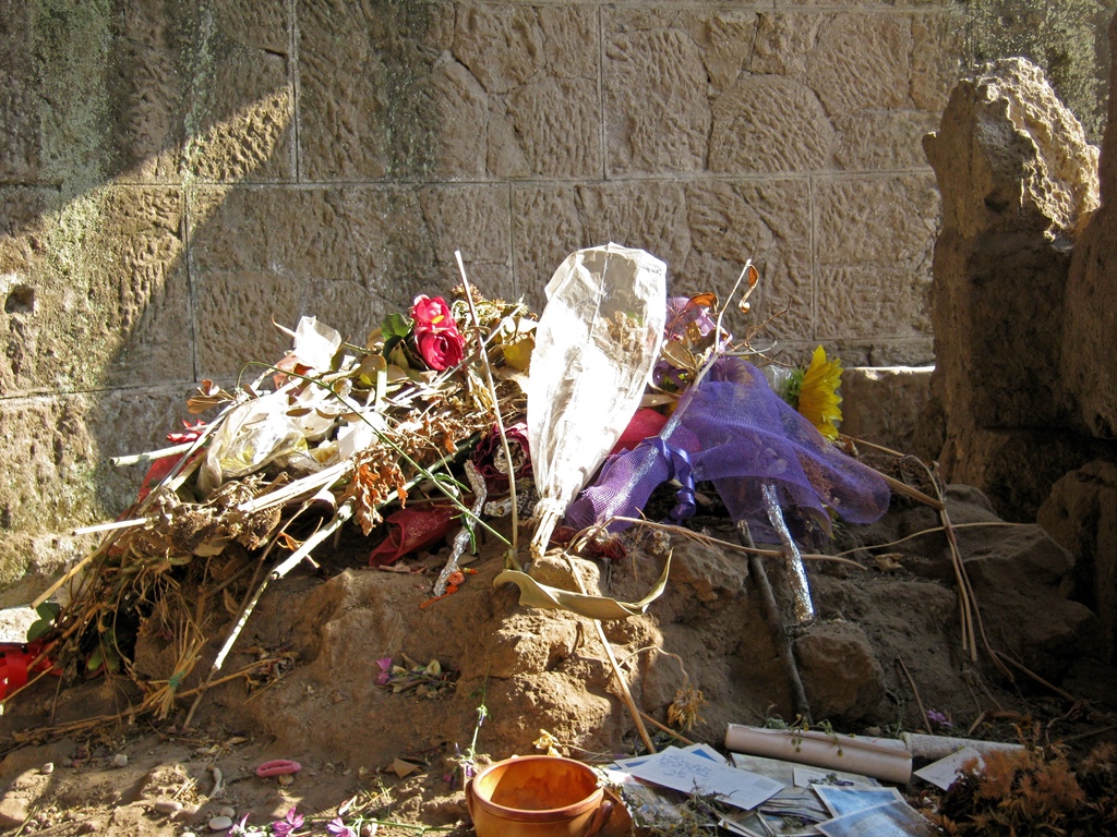 Flowers on Remnants of Altar, Temple of Caesar