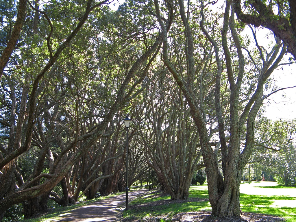 Centennial Walkway