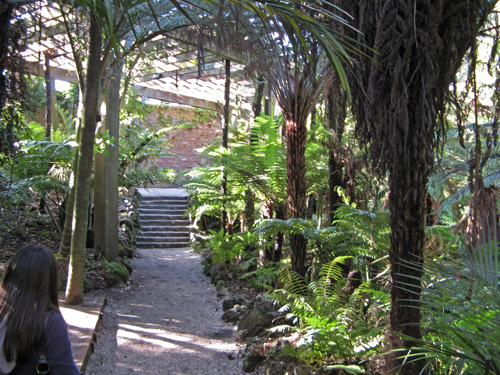 Fernz Fernery