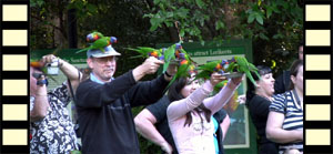 Attack of the Lorikeets