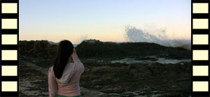 The Beach at Currumbin