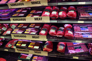 Kangaroo Meat, Woolworth’s