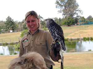 Barking Owl with Handler