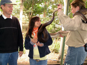 Handler Removing Python