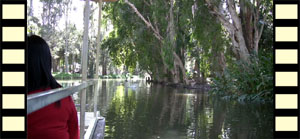 Canal Boat Ride