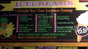 Fresh Fruit Ice Cream Menu