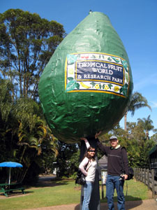 Connie and Bob Holding Up Giant Avocado