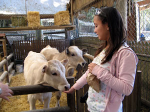 Connie Feeding Young Cow