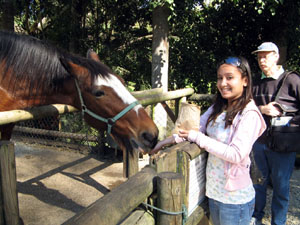 Connie and Bob with Sherman the Clydesdale