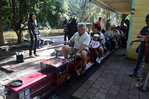 Miniature Train