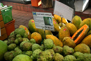 Fresh Fruit for Sale