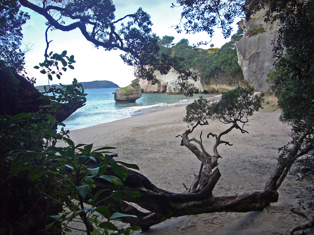 Mare's Leg Cove from Trail