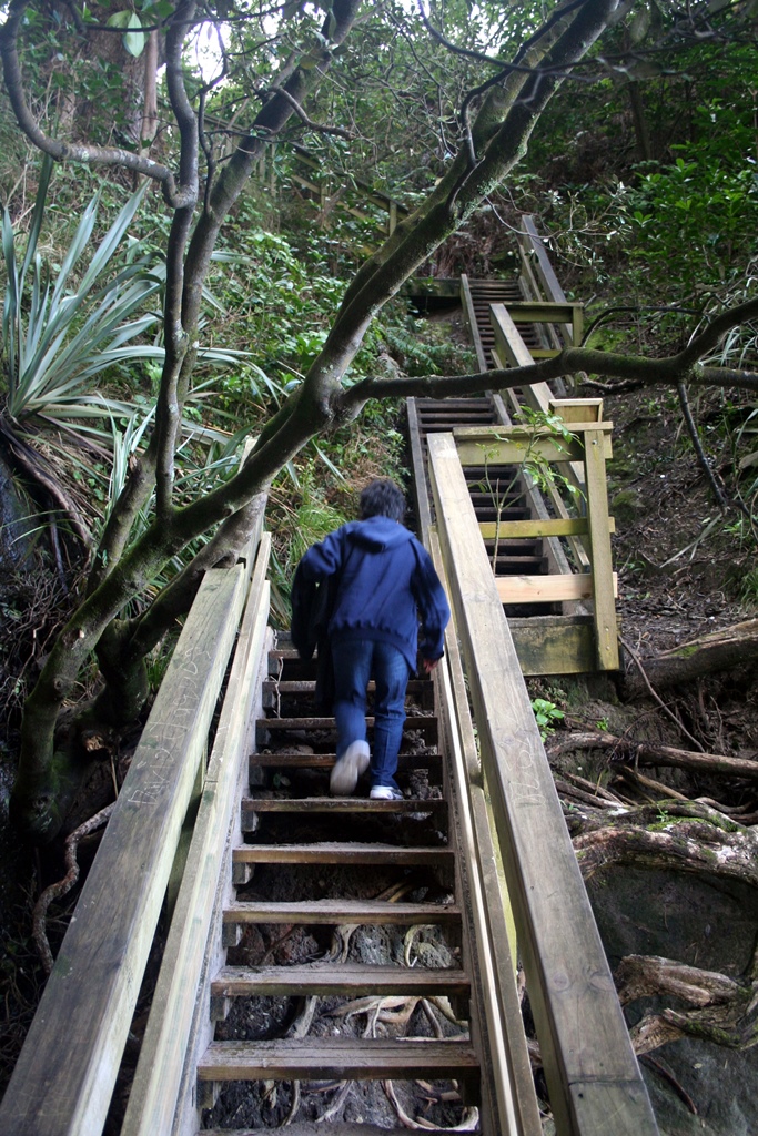 Stairway Back Up