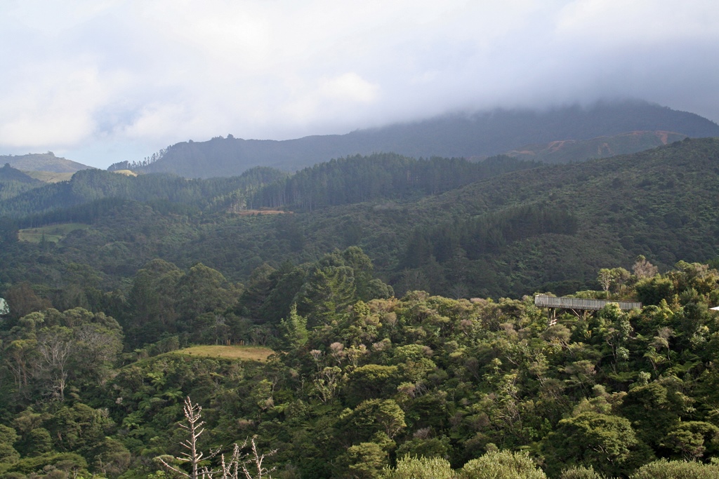 Hillside from Tower