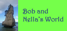 Bob and Nella's World