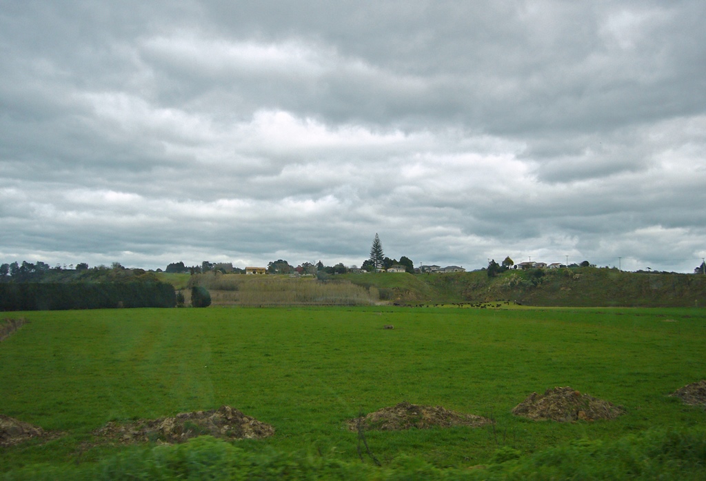 North Island Countryside