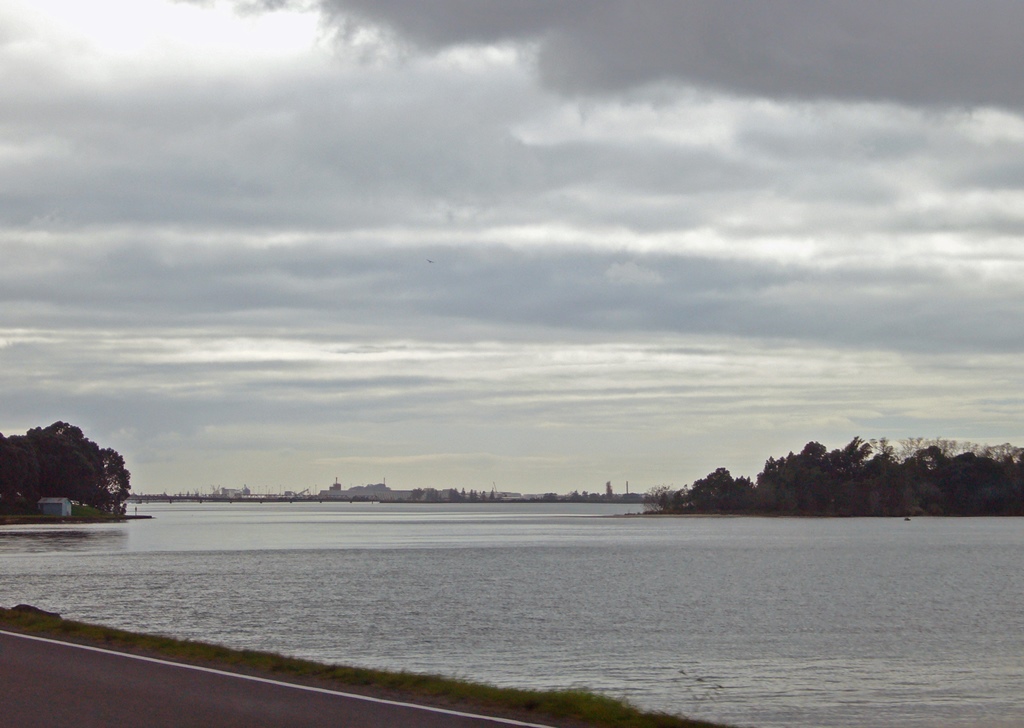 Tauranga Harbour