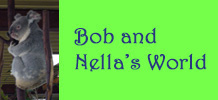 Bob and Nella's World