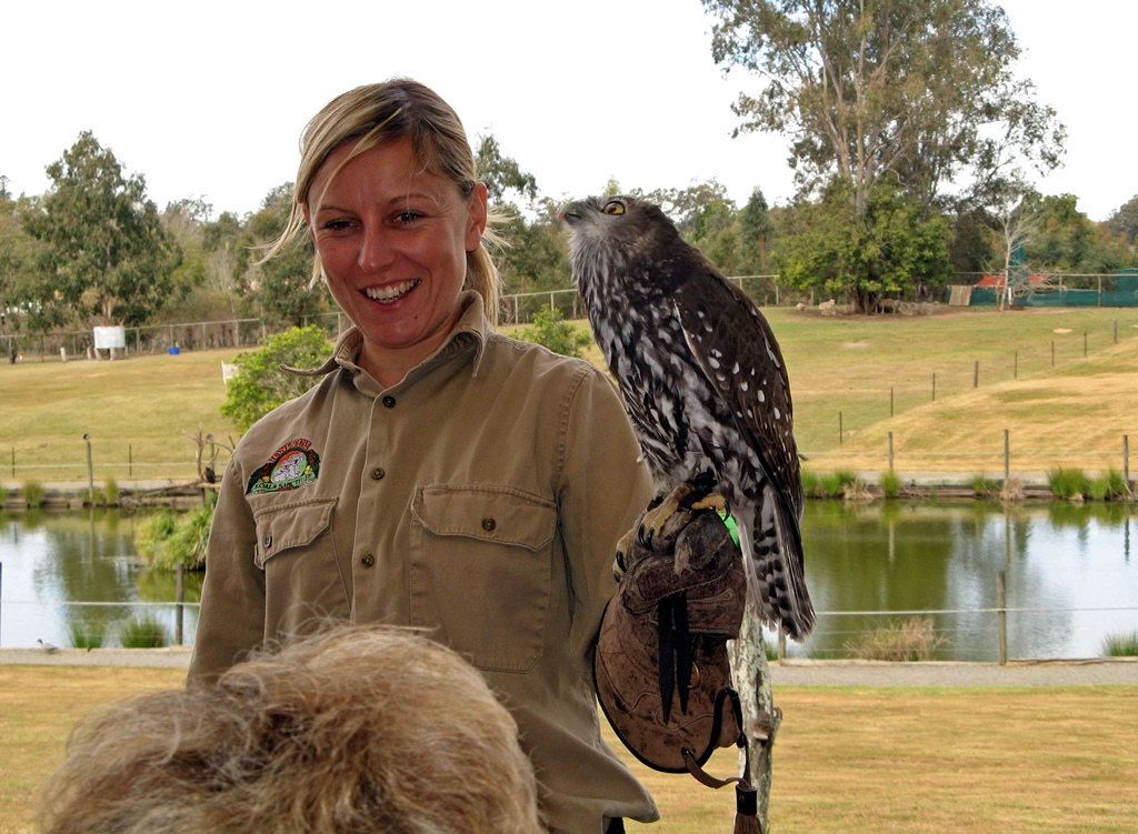 Barking Owl with Handler