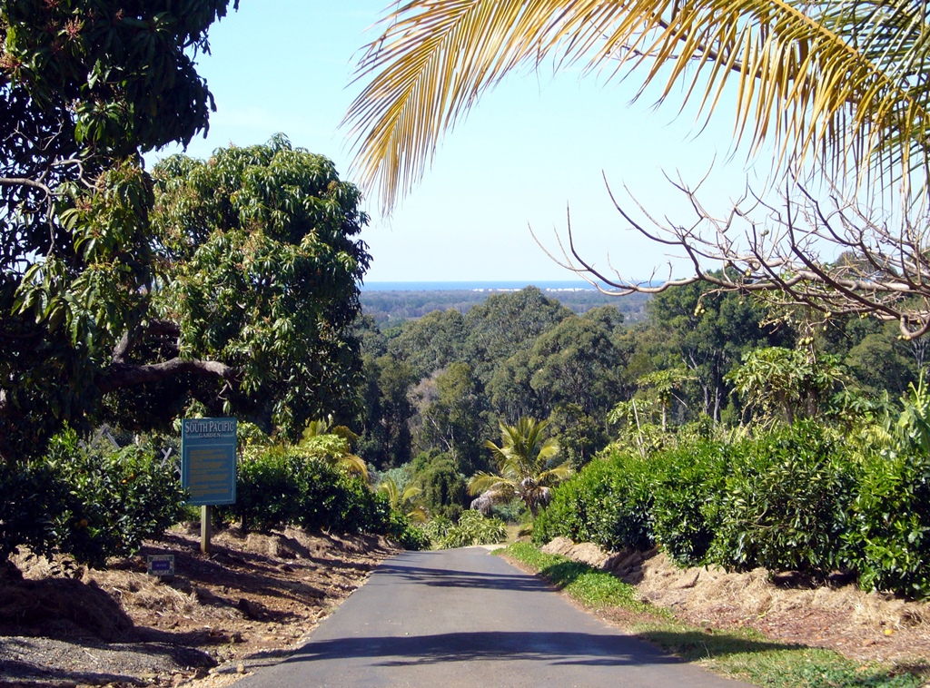 Road into Plantation