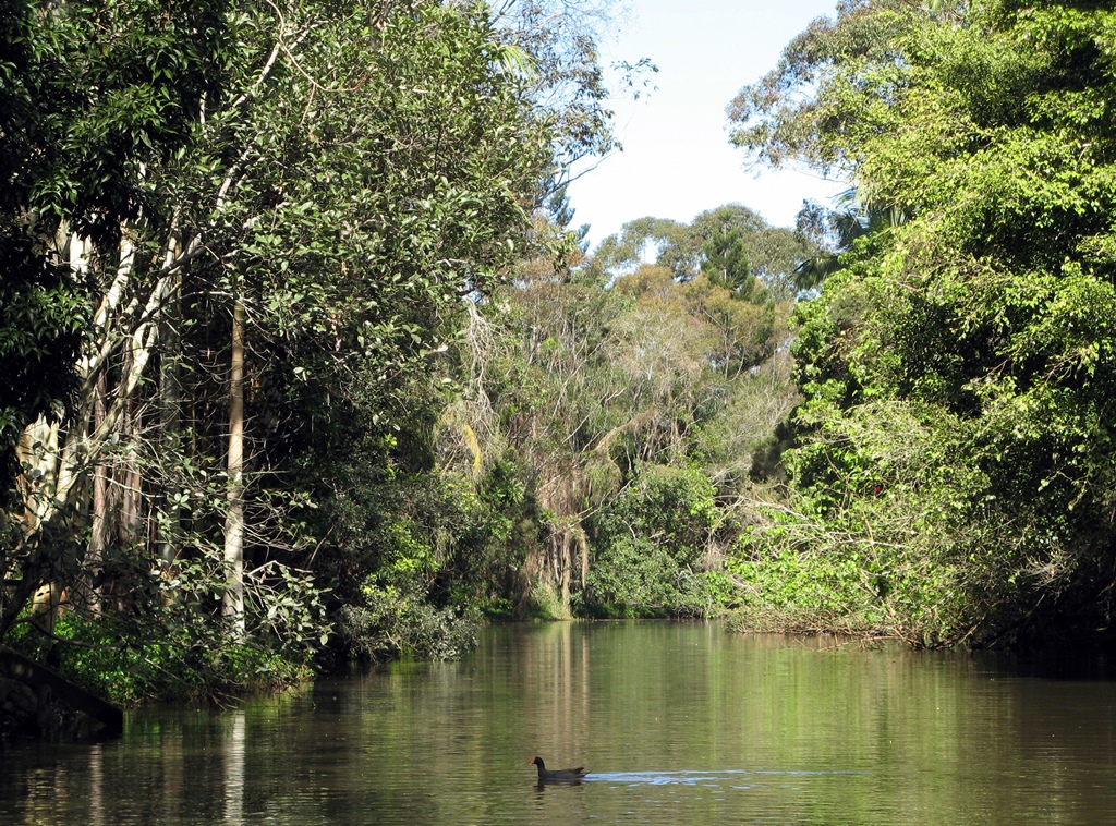 The Canal