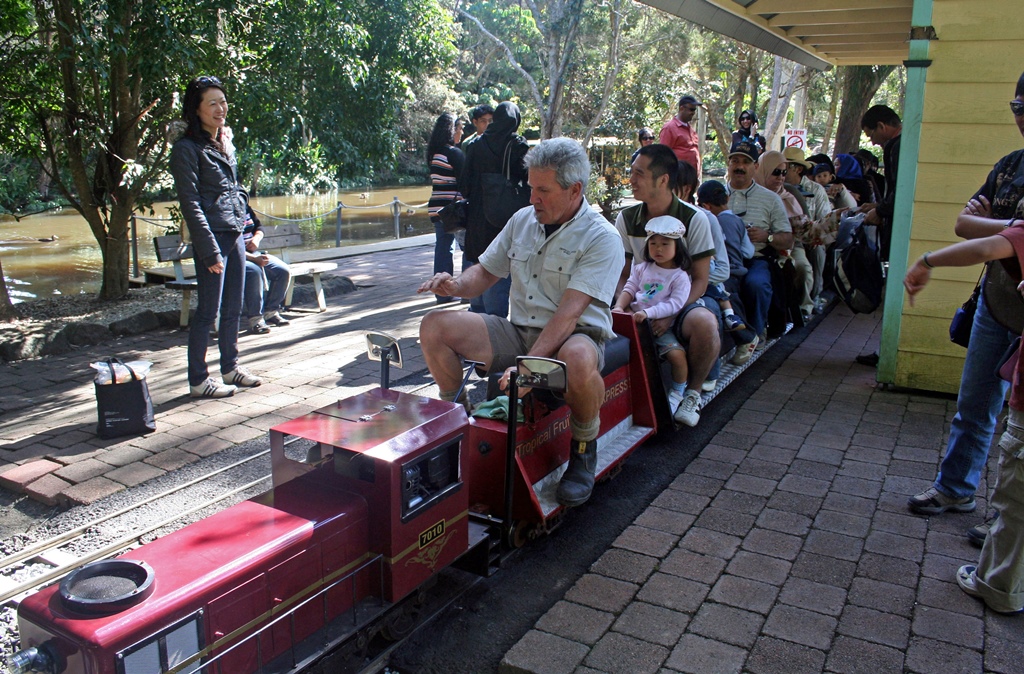 Miniature Train